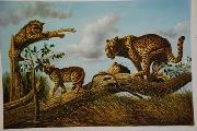 unknow artist Lions 030 oil painting reproduction